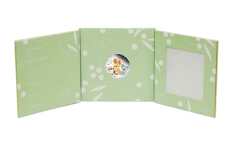 DÁREK K NAROZENÍ DÍTĚTE coin Newborn Baby – 1/2 oz stříbrná mince