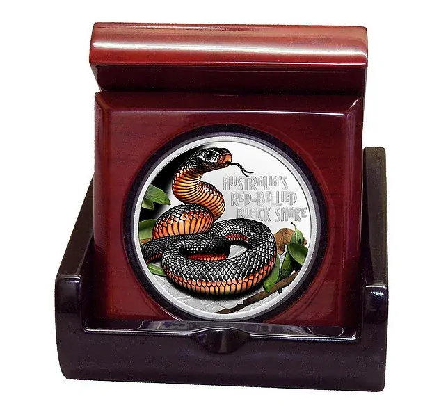 SMRTÍCÍ A NEBEZPEČNÝ PAKOBRA ČERVENOBŘICHÁ coin Deadly and Dangerous Red-Bellied Black Snake – 1 oz stříbrná mince