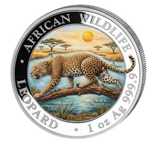 AFRICKÁ DIVOKÁ ZVĚŘ LEOPARD 2026 coin African Wildlife Somalia Leopard coloured – 1 oz stříbrná mince barevná