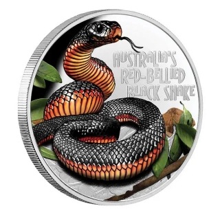 SMRTÍCÍ A NEBEZPEČNÝ PAKOBRA ČERVENOBŘICHÁ coin Deadly and Dangerous Red-Bellied Black Snake – 1 oz stříbrná mince