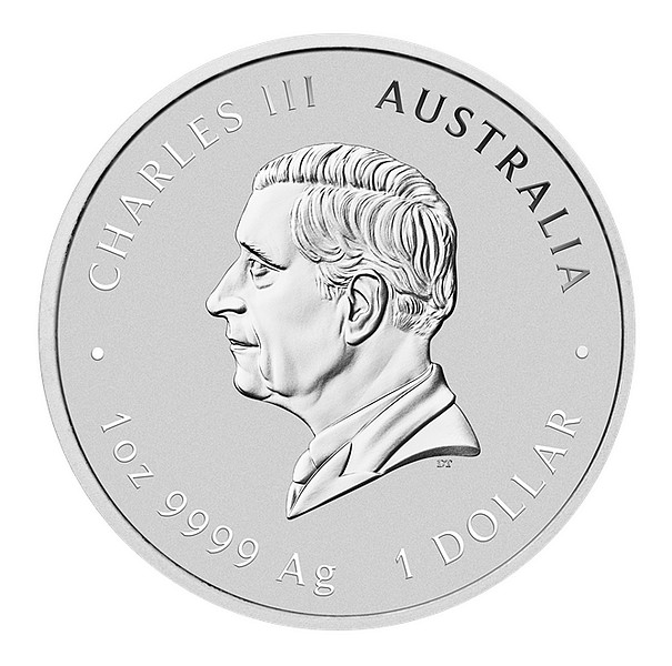 ROK HADA 2025 Lunární série III. coin Year of the Snake coloured – 1 oz stříbrná mince barevná